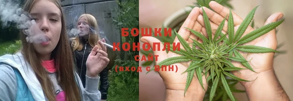 прущие грибы Беломорск