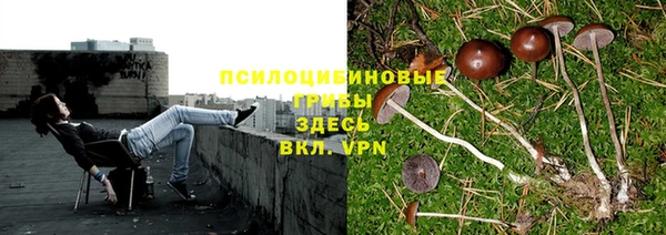 дмт Белокуриха