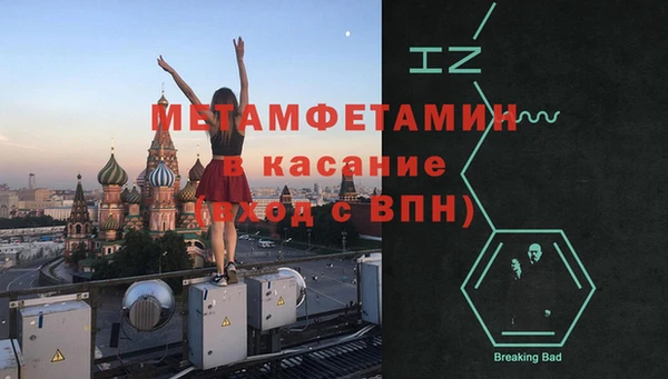 прущие грибы Беломорск