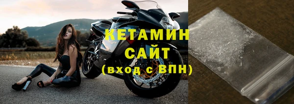 прущие грибы Беломорск