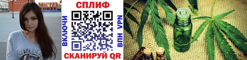 Конопля White Widow  купить наркотики сайты  Шебекино 